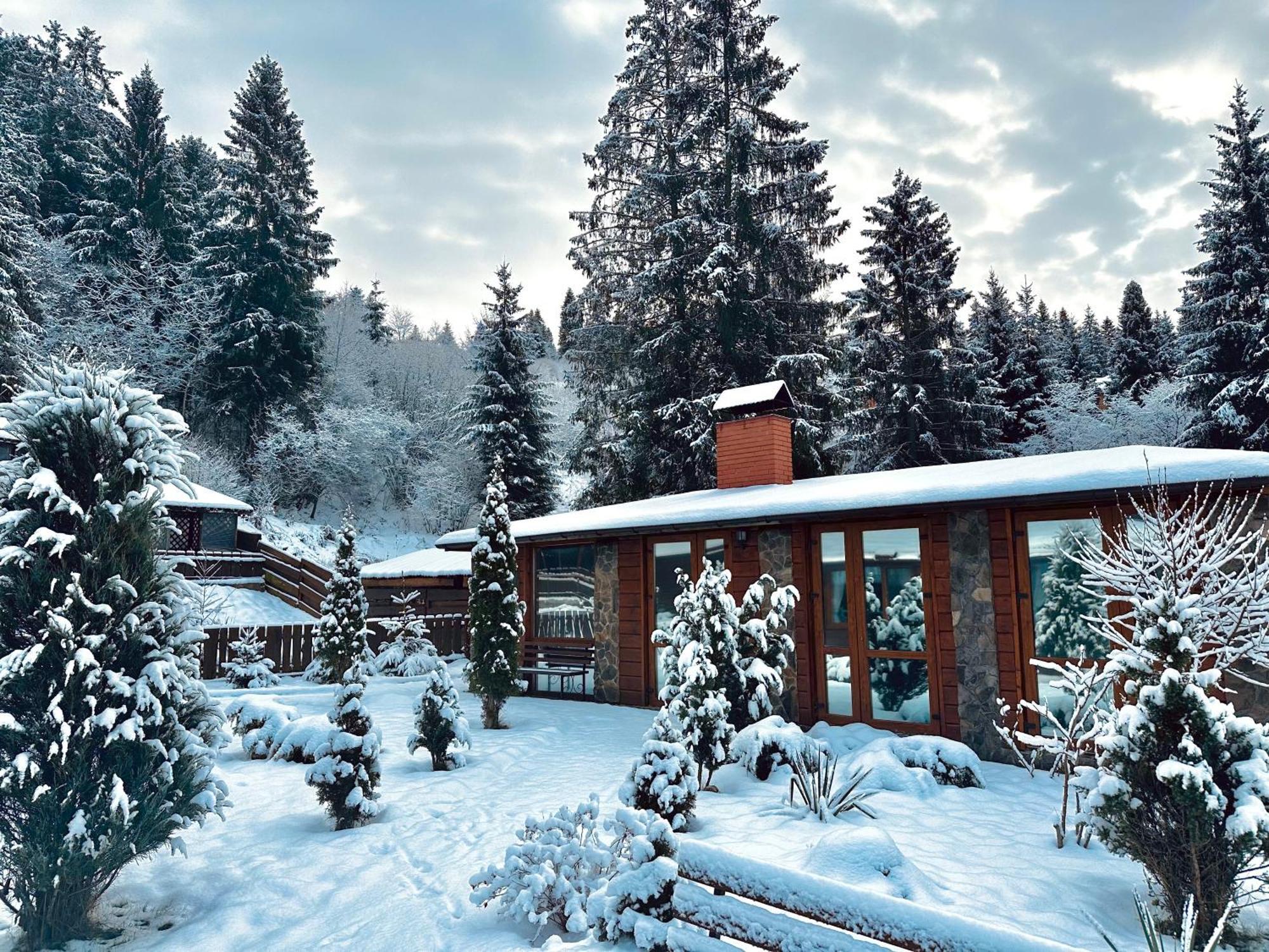 Chalet Filvarok スラブスク エクステリア 写真
